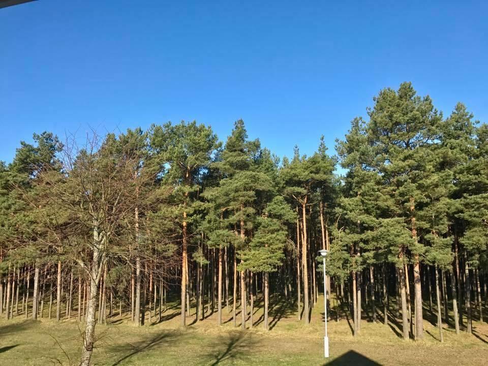 Kranto Vila Palanga Dış mekan fotoğraf